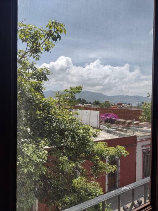 M1010 Agradable Departamento Centrico En Oaxaca Apartment Bagian luar foto